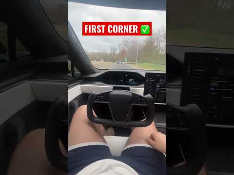 How does Tesla’s Autopilot handle situations with vehicles changing lanes on narrow mountain roads during foggy conditions?